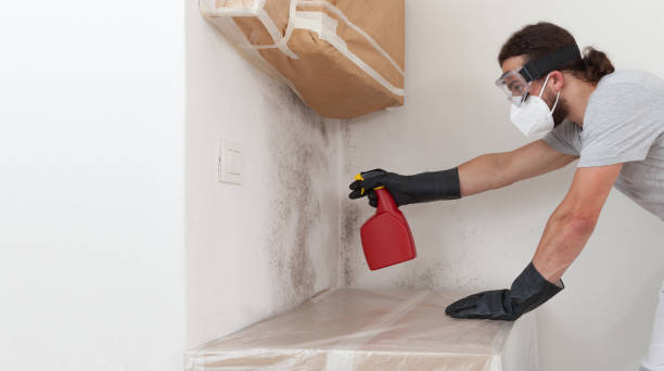 Professional Hvac And Air Duct Mold Remediation technician working in Farmingville, NY